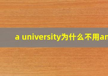 a university为什么不用an